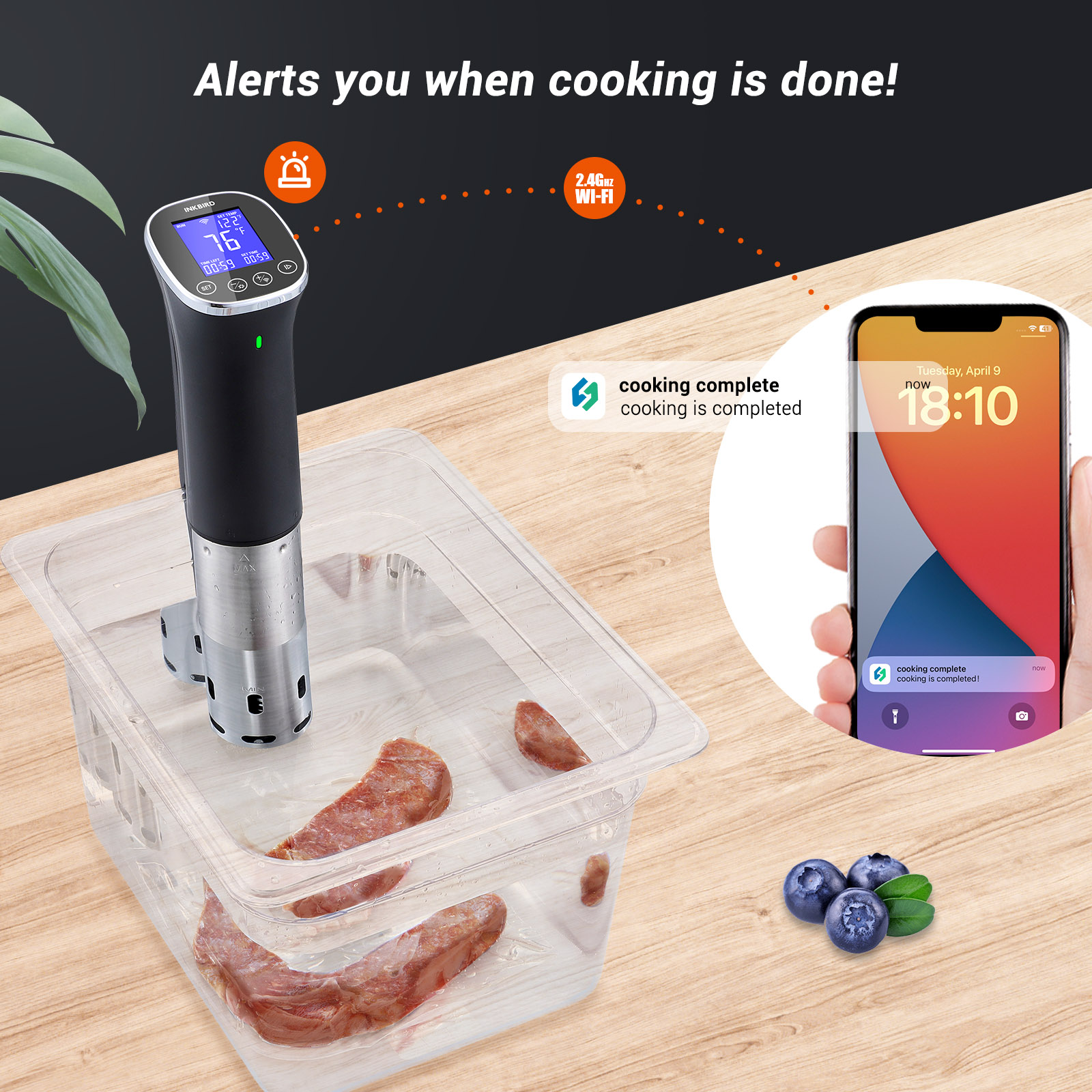 Inkbird หม้อต้มน้ำสูญญากาศไร้ส - Sous Vide Immersion Circulator Wifi บทวิจารณ์และราคา