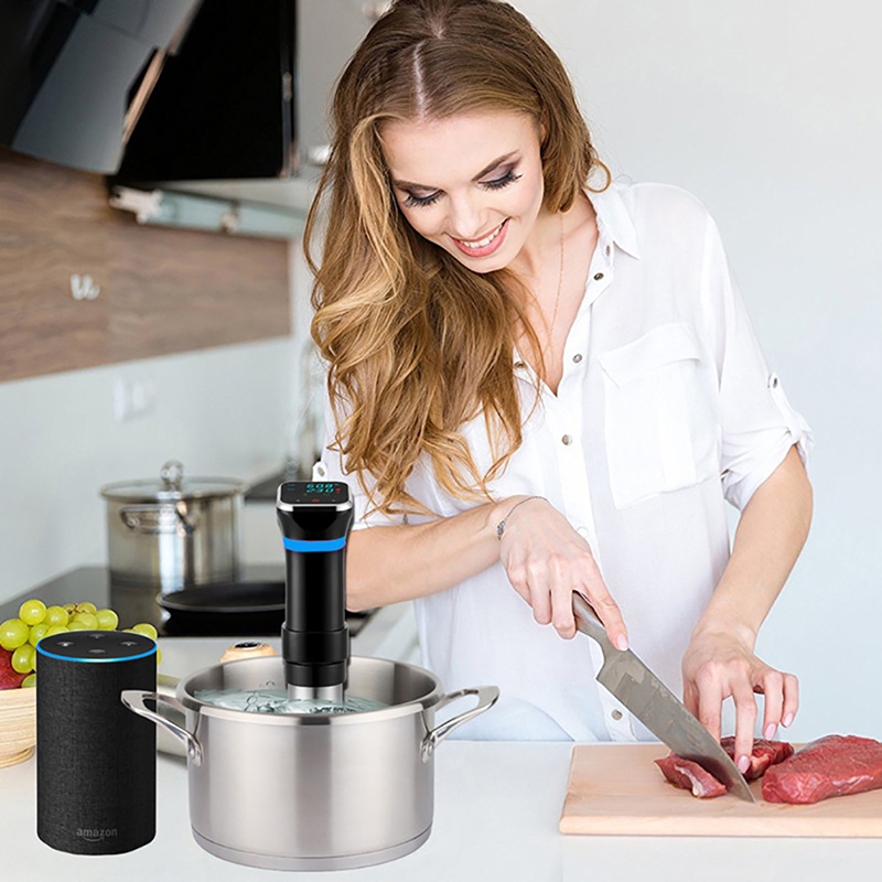 Sous Vide Precision Cooker 110 - Sous Vide Precision Cooker 1100W บทวิจารณ์และราคา